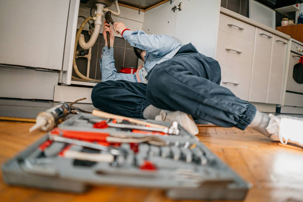 Best Residential Plumbing Services  in Oak Harbor, OH